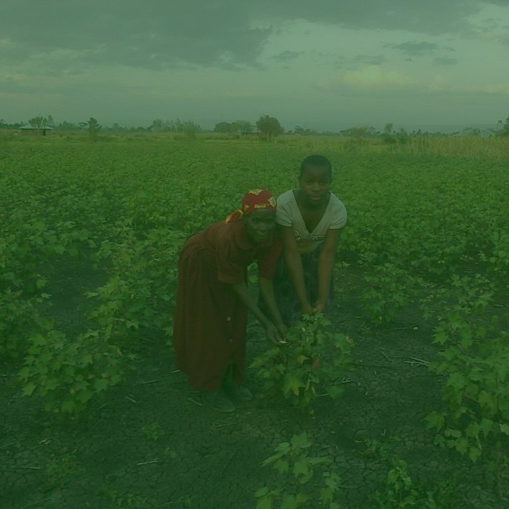 Ecological farming